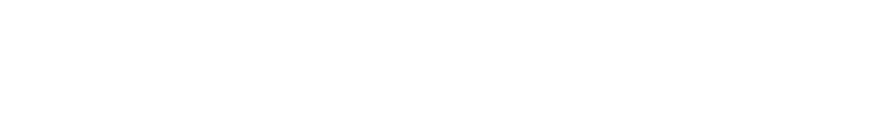 The Washington Post Logo