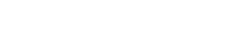 The Washington Post Logo